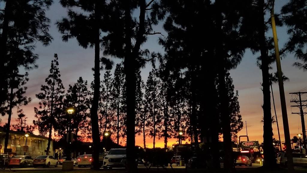 Starbucks | cafe | 12824 Ventura Blvd, Studio City, CA 91604, USA | 8187538886 OR +1 818-753-8886