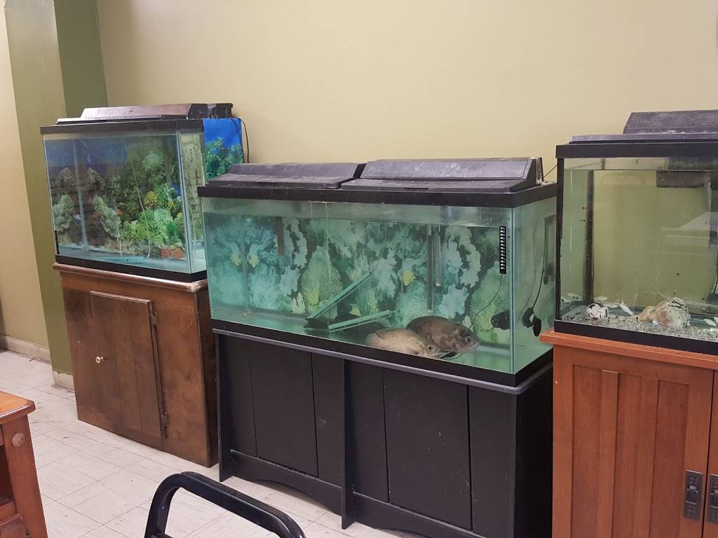 Farm Cafe | cafe | 14850 Farm Creek Dr, Woodbridge, VA 22191, USA | 7034903204 OR +1 703-490-3204