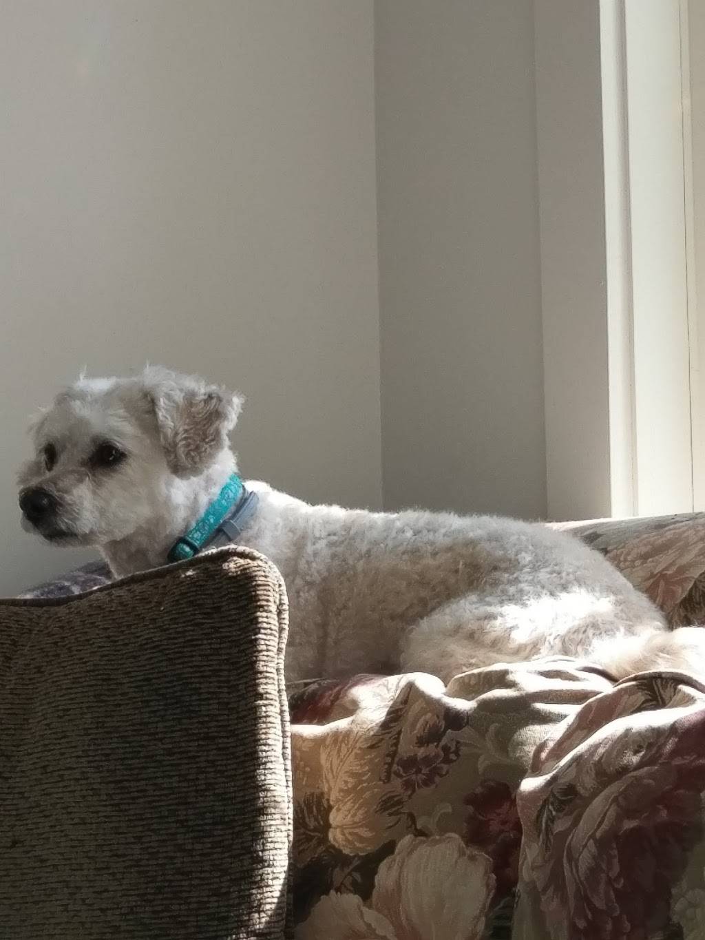 Railroad Café | cafe | 10 Railroad St Ste. 2, Morrisville, VT 05661, USA | 8028882277 OR +1 802-888-2277