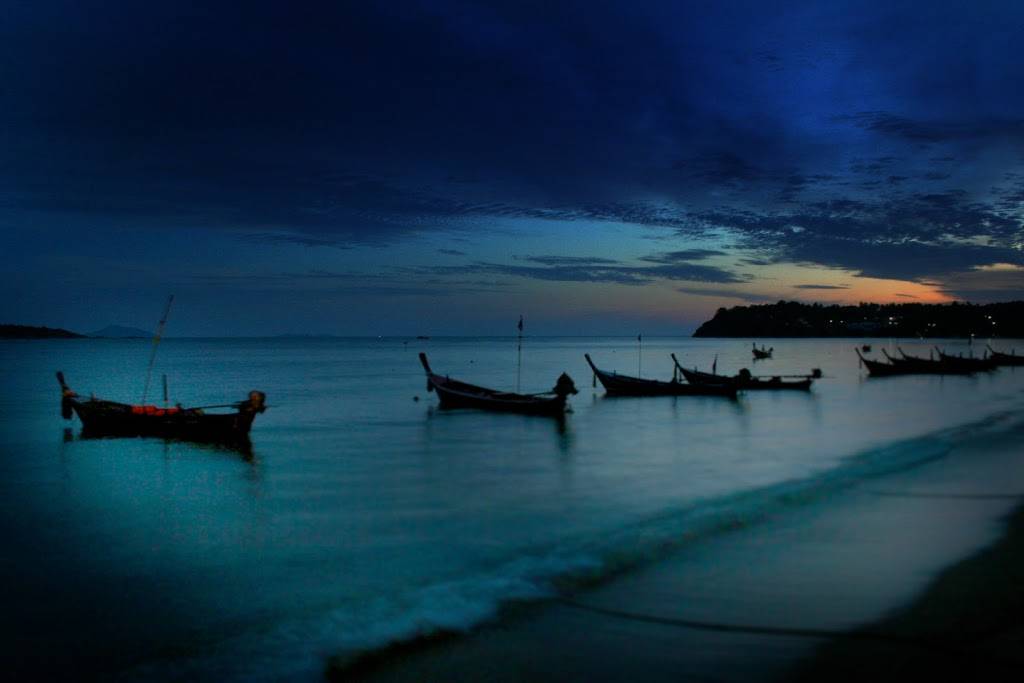 Narins Thai Kitchen | restaurant | 1981 E Mason St #105, Green Bay, WI 54302, USA | 9205440275 OR +1 920-544-0275