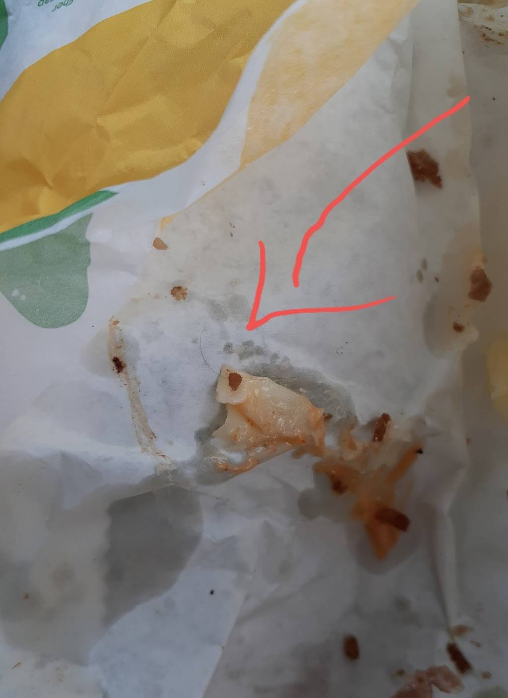 Subway Restaurants | restaurant | 3674 Delaware Ave, Tonawanda, NY 14217, USA | 7168751782 OR +1 716-875-1782