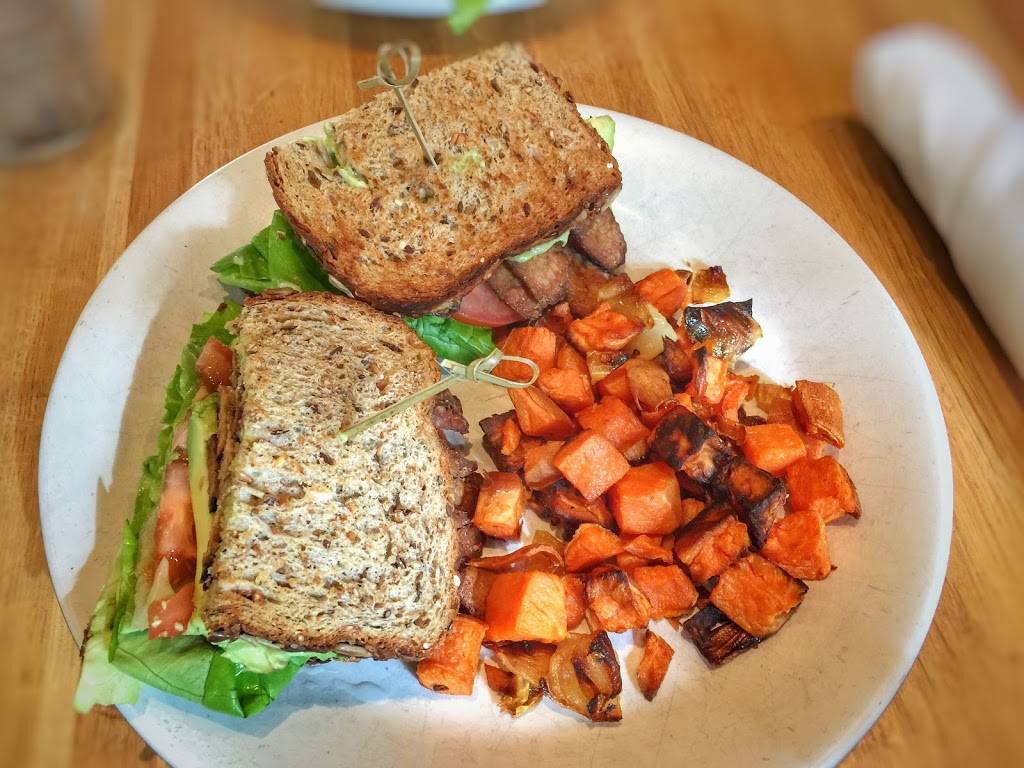 True Food Kitchen | restaurant | 860 S, CA-1 Ste 100, El Segundo, CA 90245, USA | 3104697725 OR +1 310-469-7725