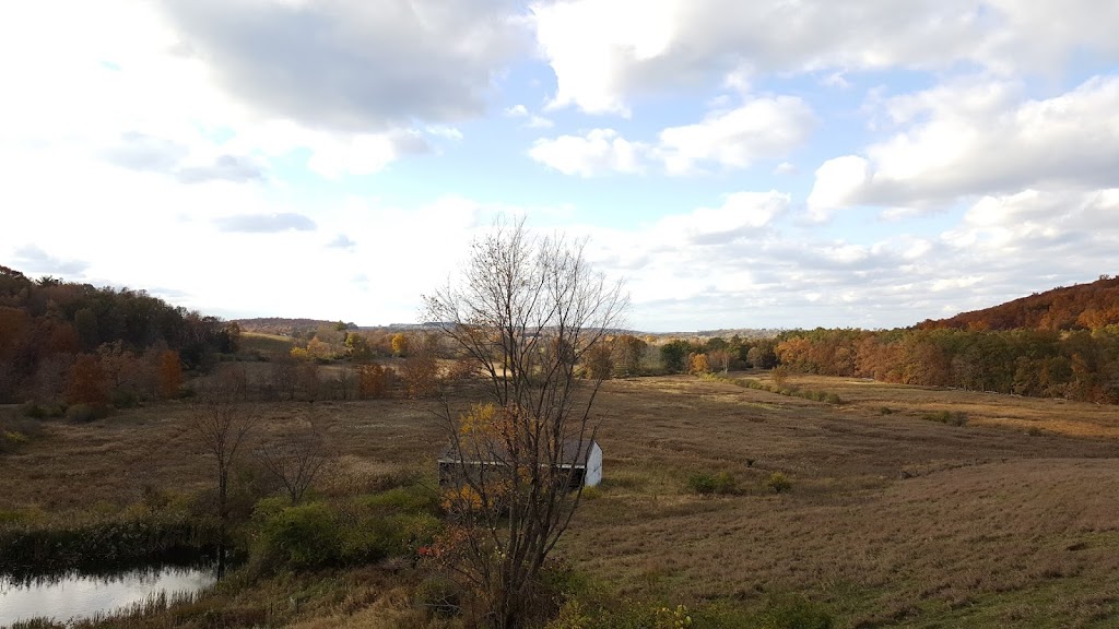 Océane Vineyards and Winery | meal takeaway | 1661 Kings Hwy, Chester, NY 10918, USA | 8456105454 OR +1 845-610-5454