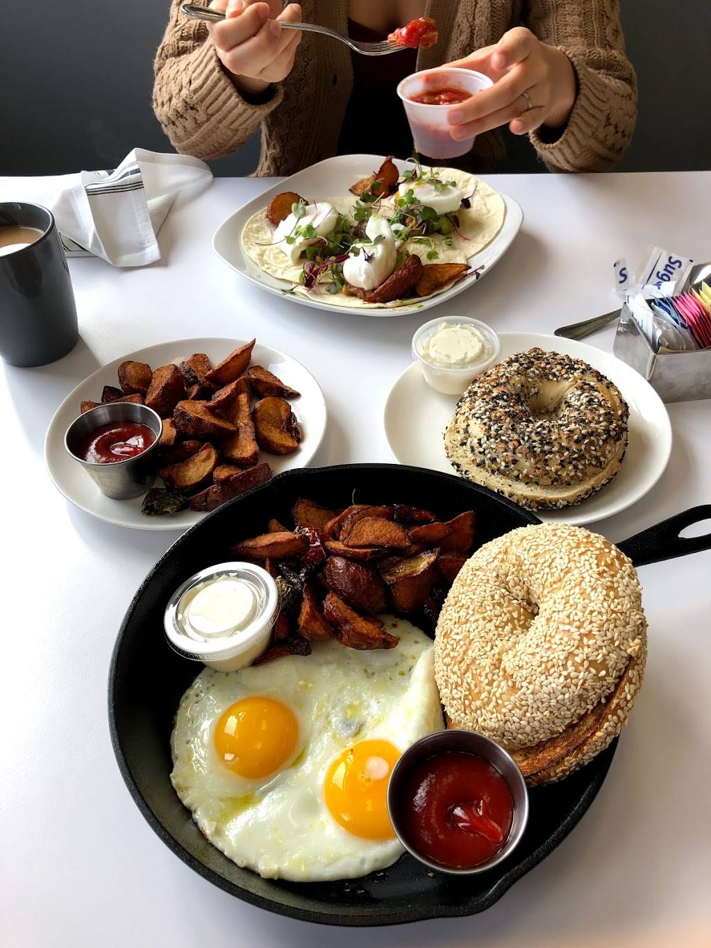 Max & Mos Bagel/Deli/Emporium | restaurant | 8570 Stirling Rd, Hollywood, FL 33024, USA | 9545892168 OR +1 954-589-2168