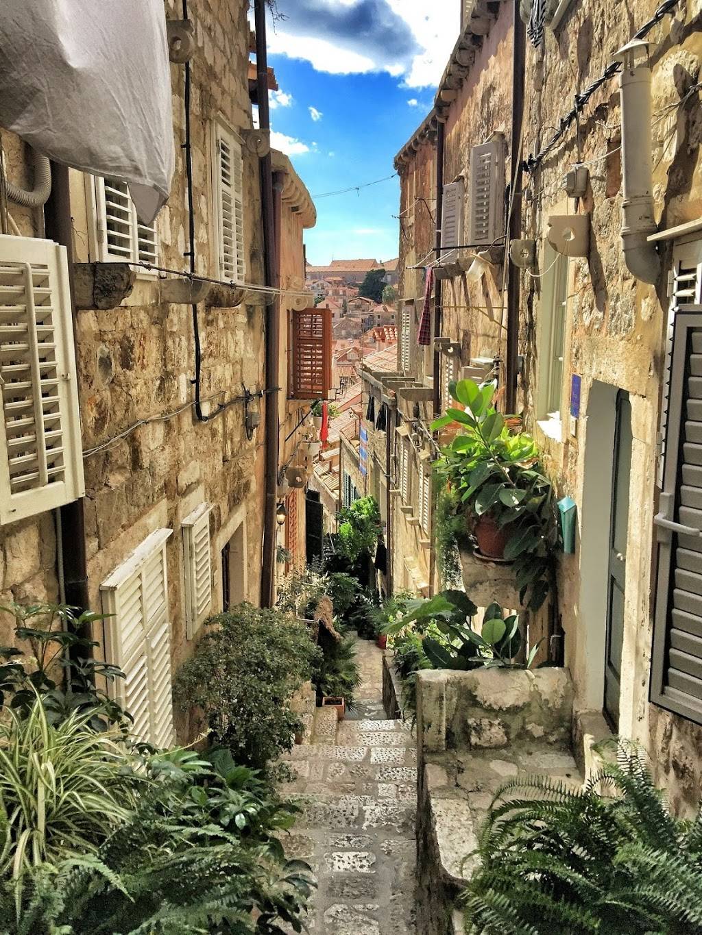 Tomys Burger | cafe | 9692 Chapman Ave, Garden Grove, CA 92841, USA | 7145340651 OR +1 714-534-0651