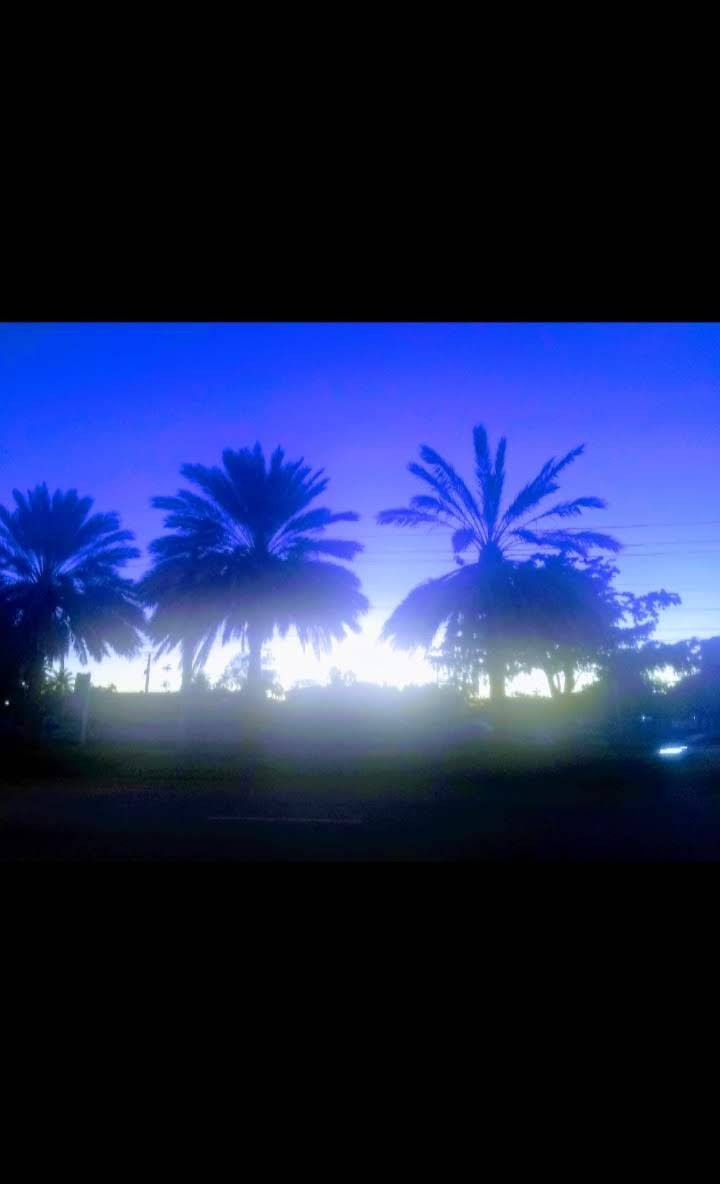 The Village Restaurant & Lounge | restaurant | 9457 SW 56th St, Olympia Heights, FL 33165, USA | 7864838886 OR +1 786-483-8886