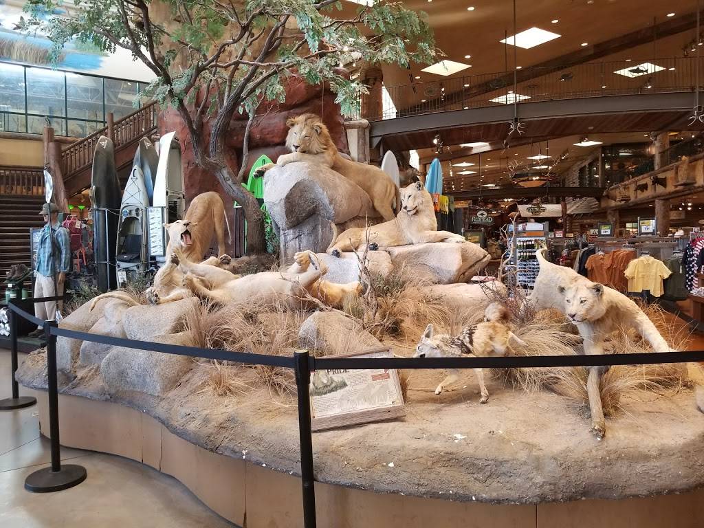 Festival Center | restaurant | 4825 W Flamingo Rd, Las Vegas, NV 89103, USA | 7023415555 OR +1 702-341-5555