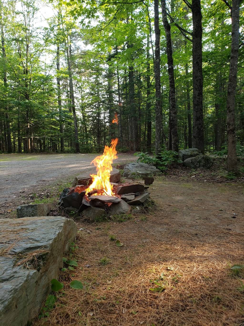 Lumberjack Lodges & Backwoods Grill Restaurant | restaurant | 102 Chadbourne Rd, Harmony, ME 04942, USA | 2076832000 OR +1 207-683-2000