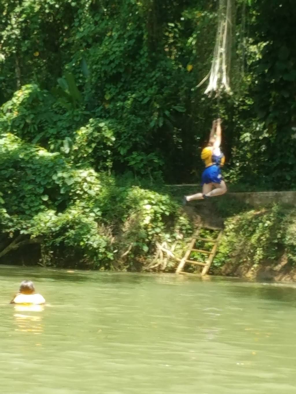 Griffins Poboy Shoppe | restaurant | 4566 LA-1, Raceland, LA 70394, USA | 9855375552 OR +1 985-537-5552