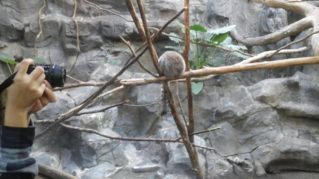 Old Town Tavern | restaurant | 102 W Main St, Morristown, MN 55052, USA | 5076854567 OR +1 507-685-4567