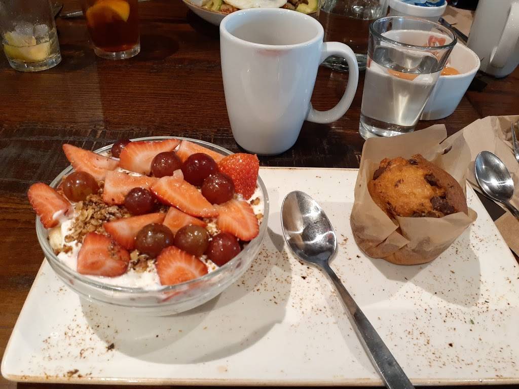 First Watch - Miami Lakes - Now Open! | cafe | 16935 NW 67th Ave, Hialeah, FL 33015, USA | 7867858600 OR +1 786-785-8600