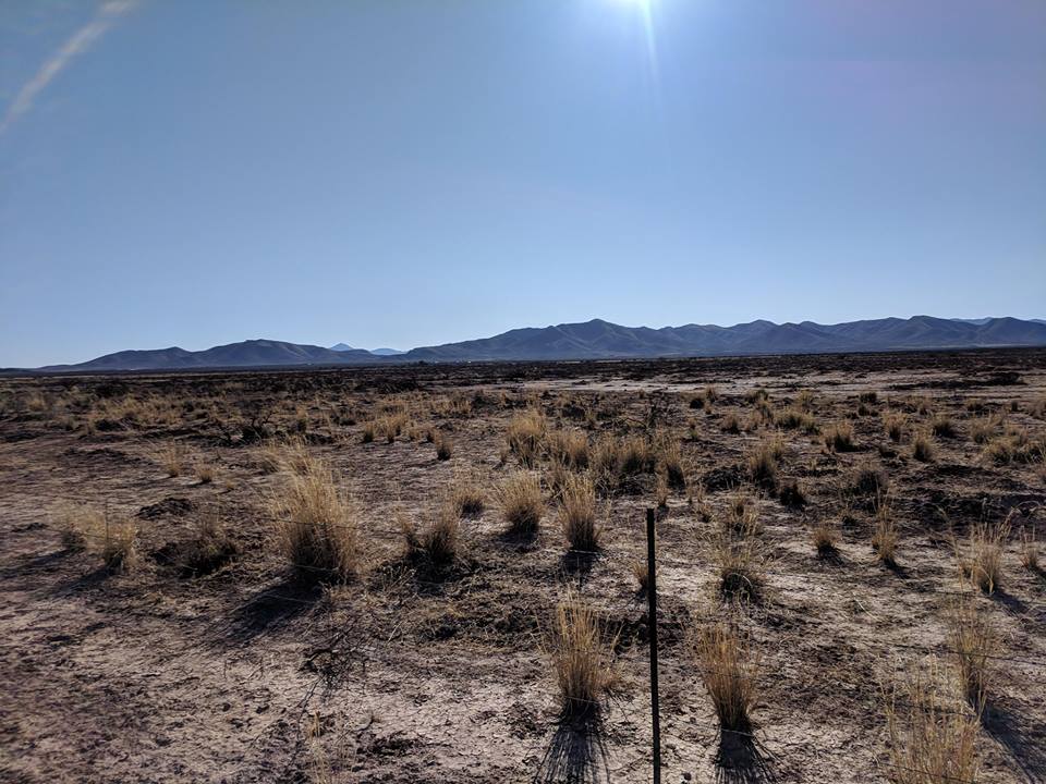 Lazy KJ Ranch - Bisbees Homegrown Barbecue, LLC | restaurant | 4977 Oro Rd, Bisbee, AZ 85603, USA | 5099519145 OR +1 509-951-9145