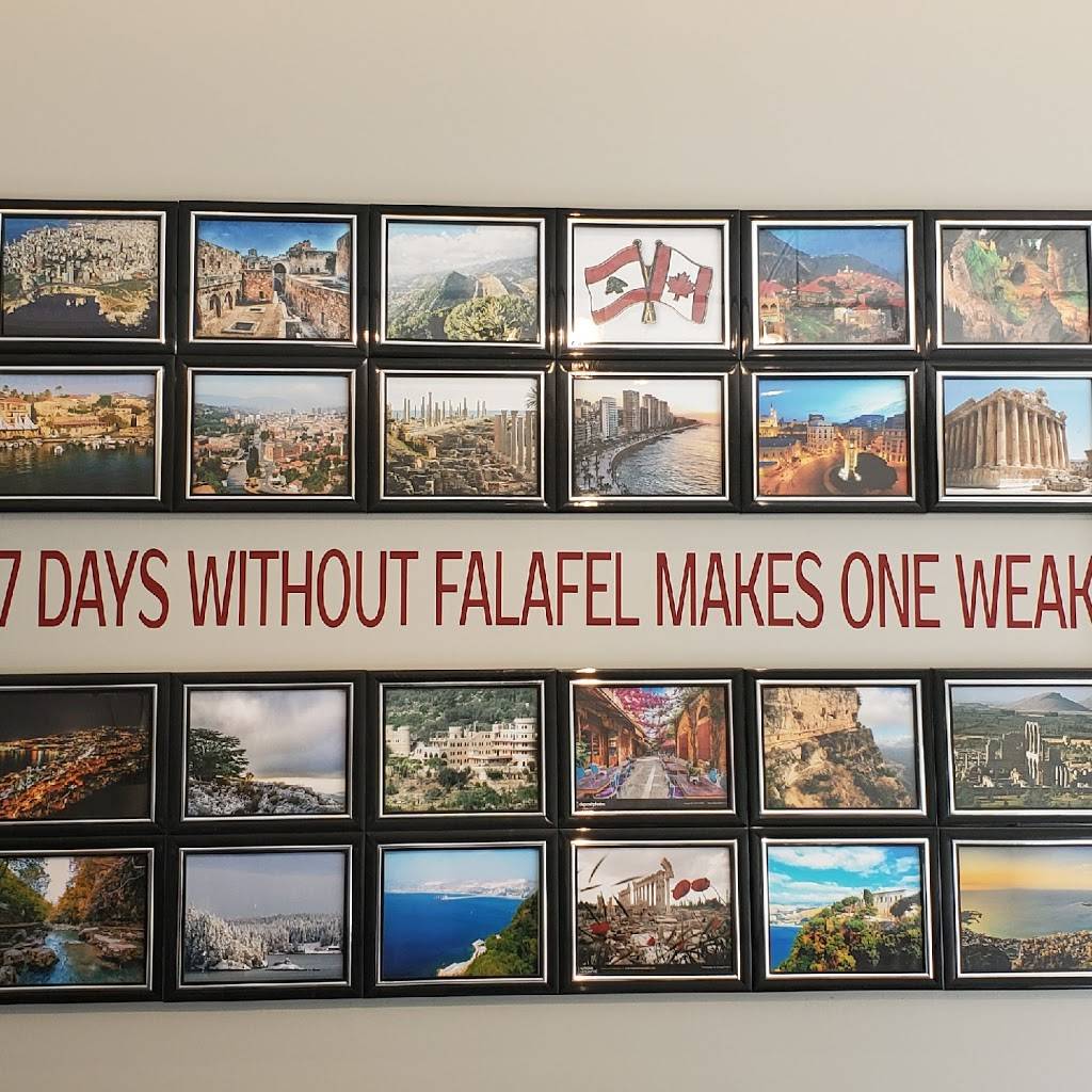 Golden Falafel | restaurant | 3128 Dundas St W, Toronto, ON M6P 2A1, Canada | 4165199949 OR +1 416-519-9949