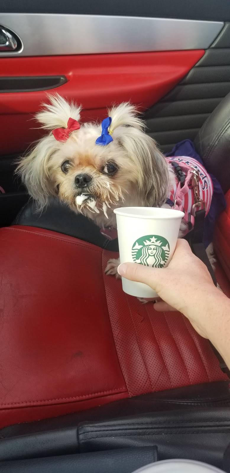 Starbucks | cafe | 87 MCS Boulevard, Sylacauga, AL 35150, USA | 2562672228 OR +1 256-267-2228