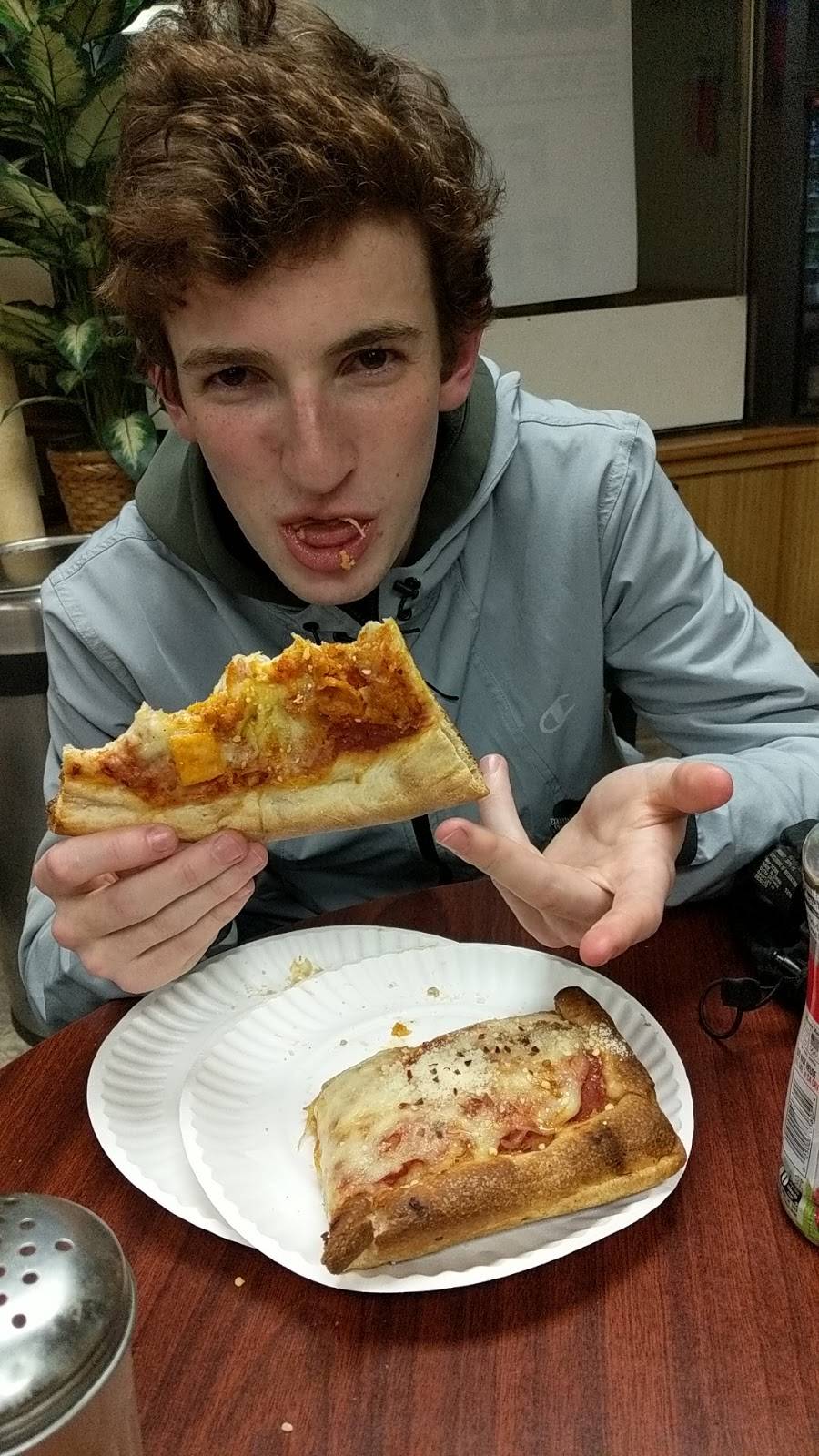 New Village Deli & Pizza | restaurant | 1526 New Scotland Rd, Slingerlands, NY 12159, USA | 5184757277 OR +1 518-475-7277