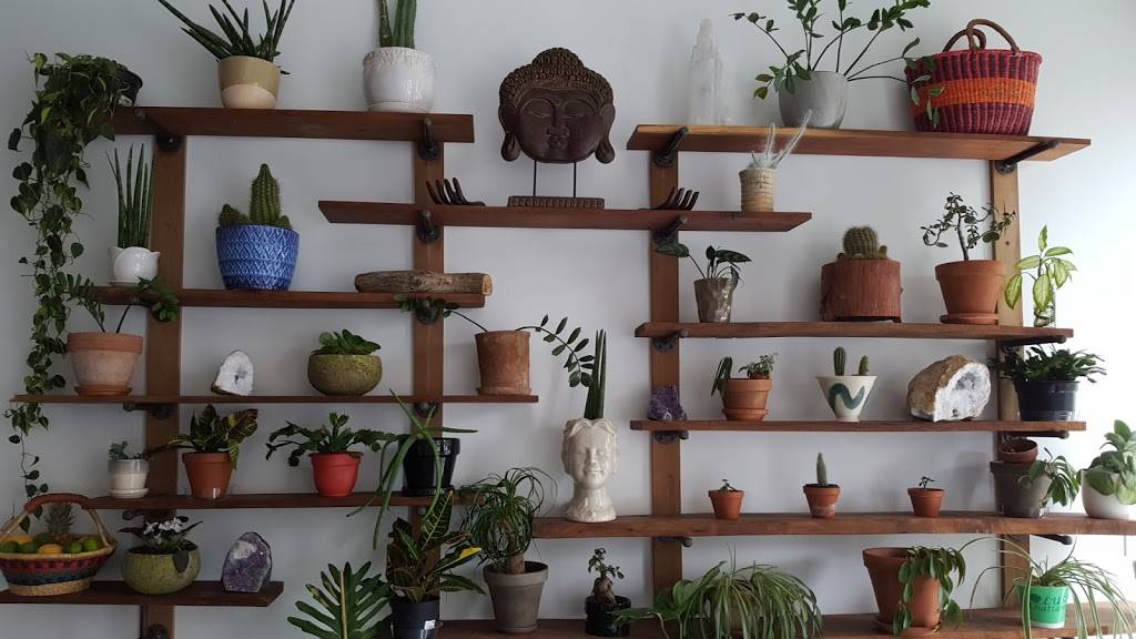 Southern Squeeze - Downtown | restaurant | 818 Georgia Ave #114, Chattanooga, TN 37402, USA | 4237603777 OR +1 423-760-3777