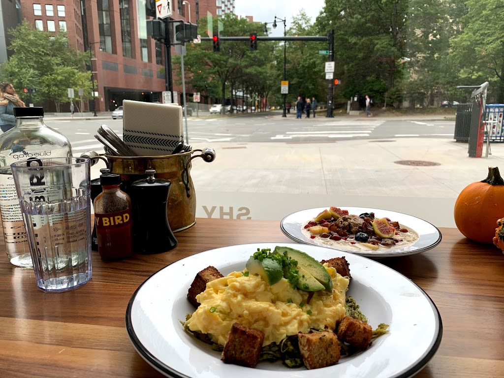 Shy Bird | restaurant | 390 Third St, Cambridge, MA 02142, USA | 6177144200 OR +1 617-714-4200