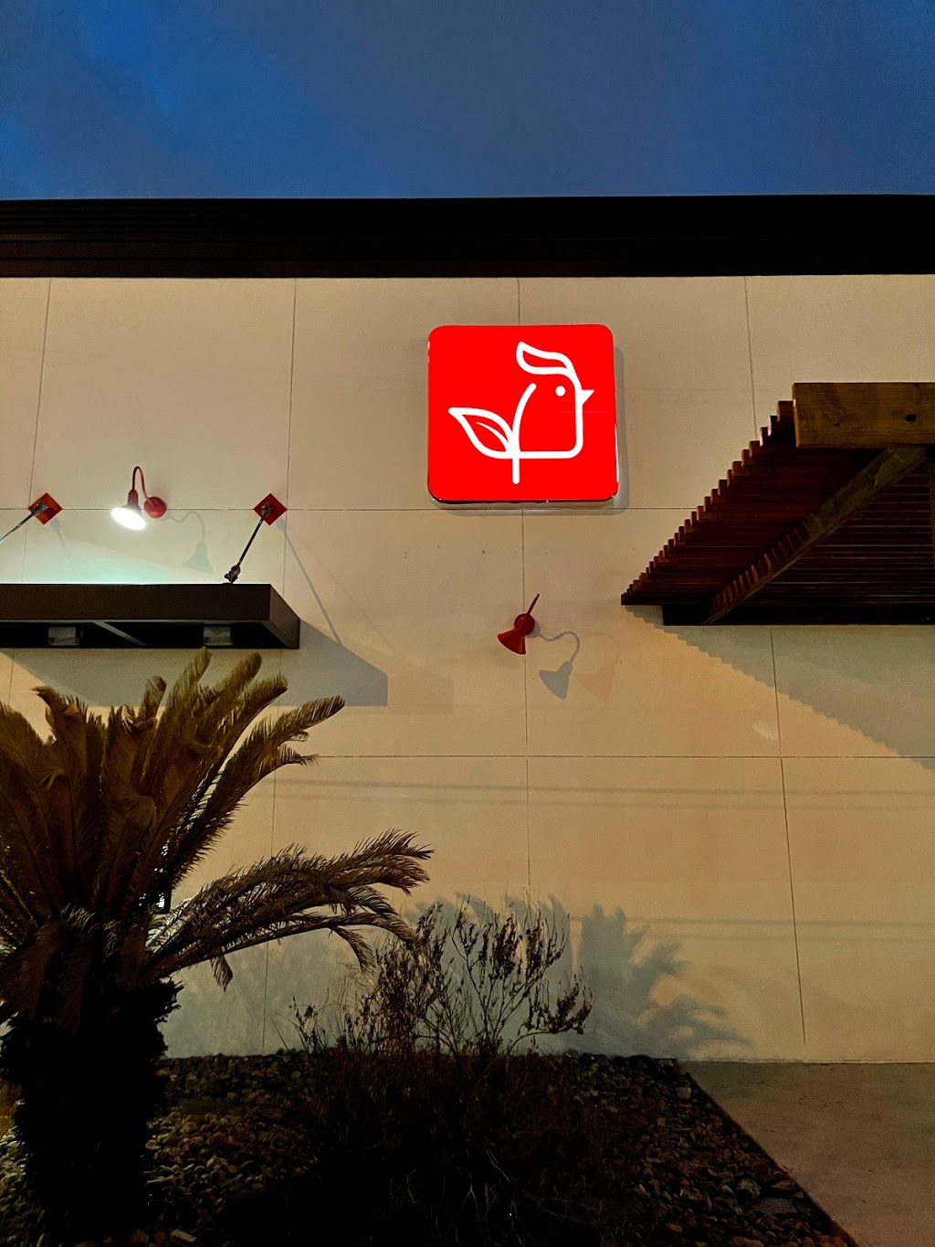 Project Pollo | restaurant | 9519 San Pedro Ave, San Antonio, TX 78216, USA | 2105072994 OR +1 210-507-2994