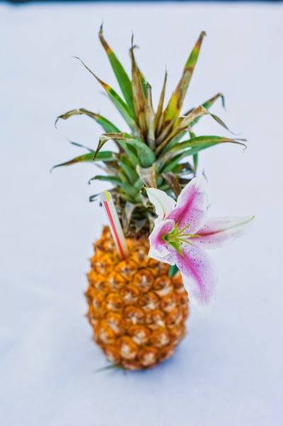 The Cajun Islands | restaurant | 15430 Brookhurst St, Westminster, CA 92683, USA | 7147757435 OR +1 714-775-7435