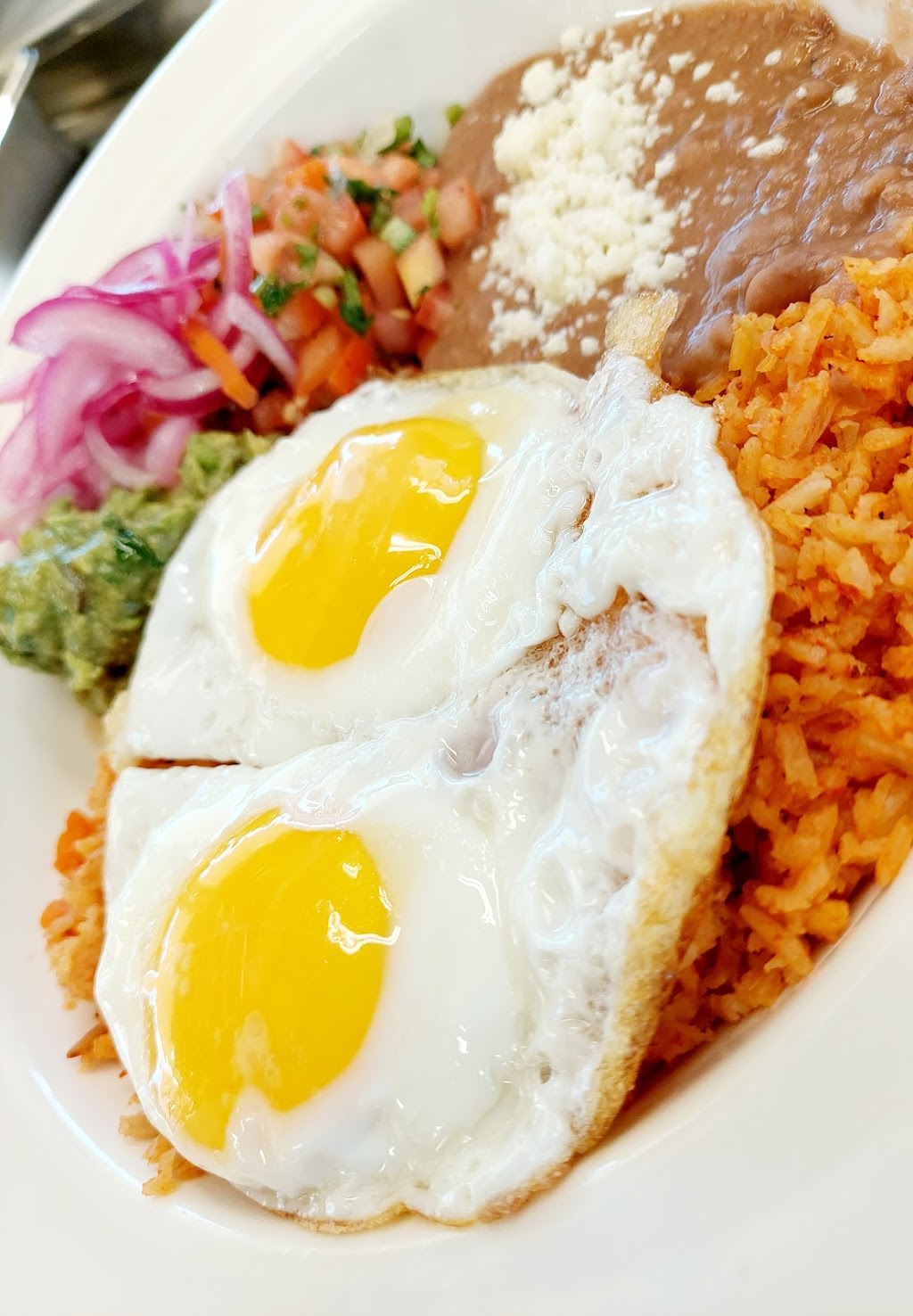 Méxhico | restaurant | 8407 SE 82nd Ave, Portland, OR 97266, USA | 5039156366 OR +1 503-915-6366