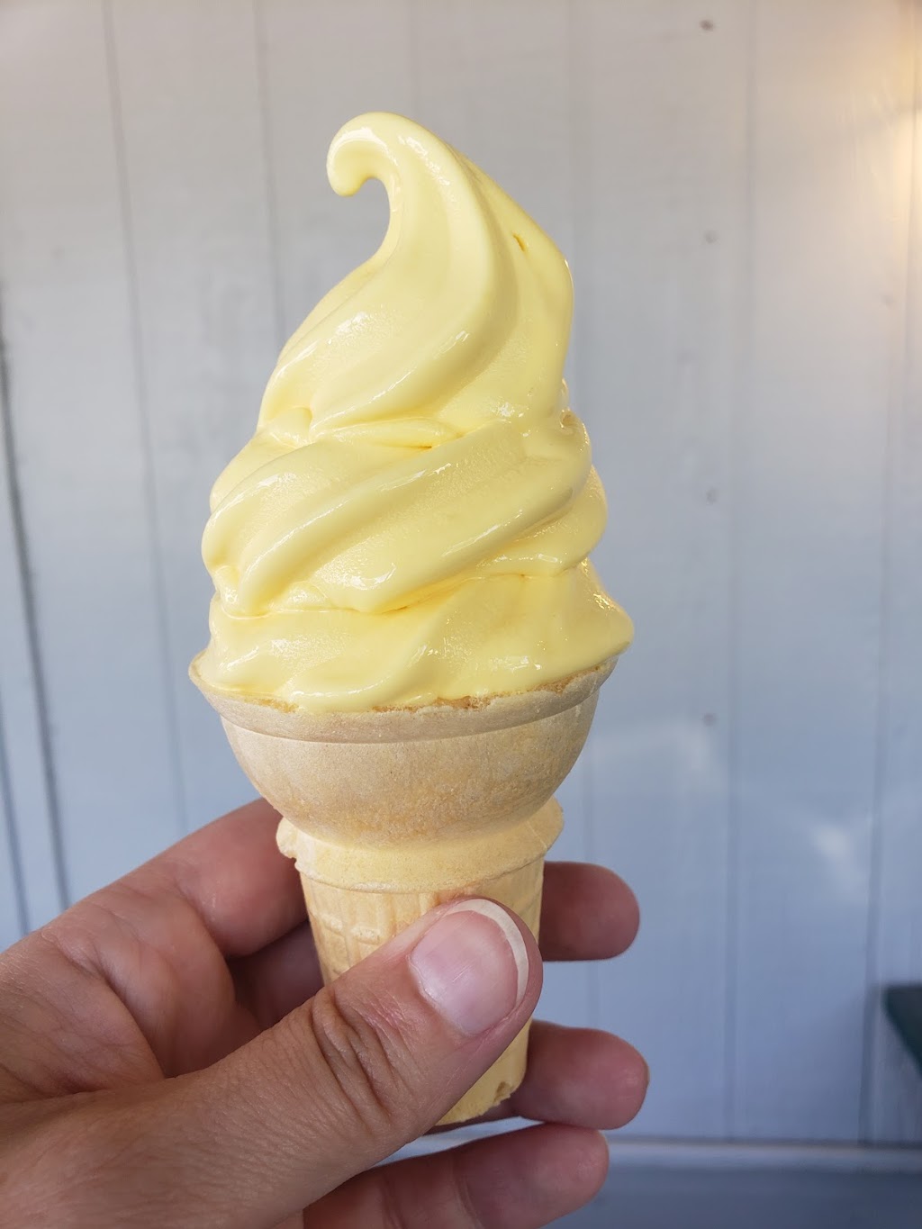 Tastee Treat Drive-In | restaurant | 423 E Main St, Mt Sterling, IL 62353, USA | 2177732543 OR +1 217-773-2543