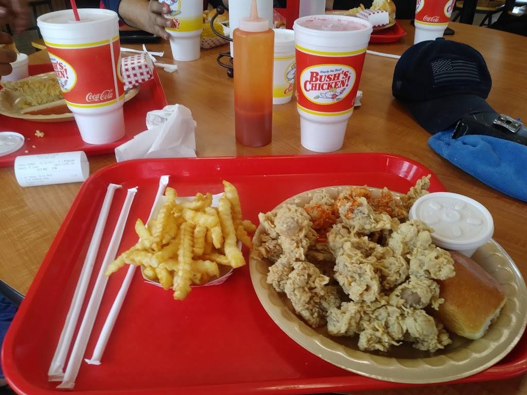 Bushs Chicken | restaurant | 9815 Brodie Ln, Austin, TX 78748, USA | 5122801600 OR +1 512-280-1600