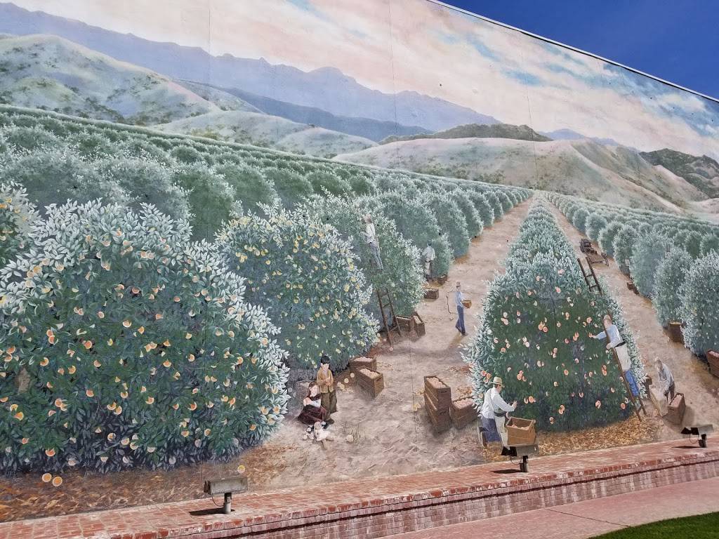 Mandarin House | restaurant | 163 E Pine St, Exeter, CA 93221, USA | 5595924450 OR +1 559-592-4450