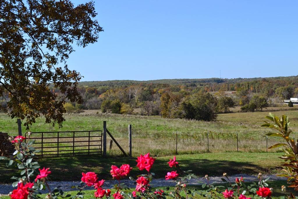 Belmont Vineyards | restaurant | 5870 Historic U.S. 66, Leasburg, MO 65535, USA | 5738857156 OR +1 573-885-7156