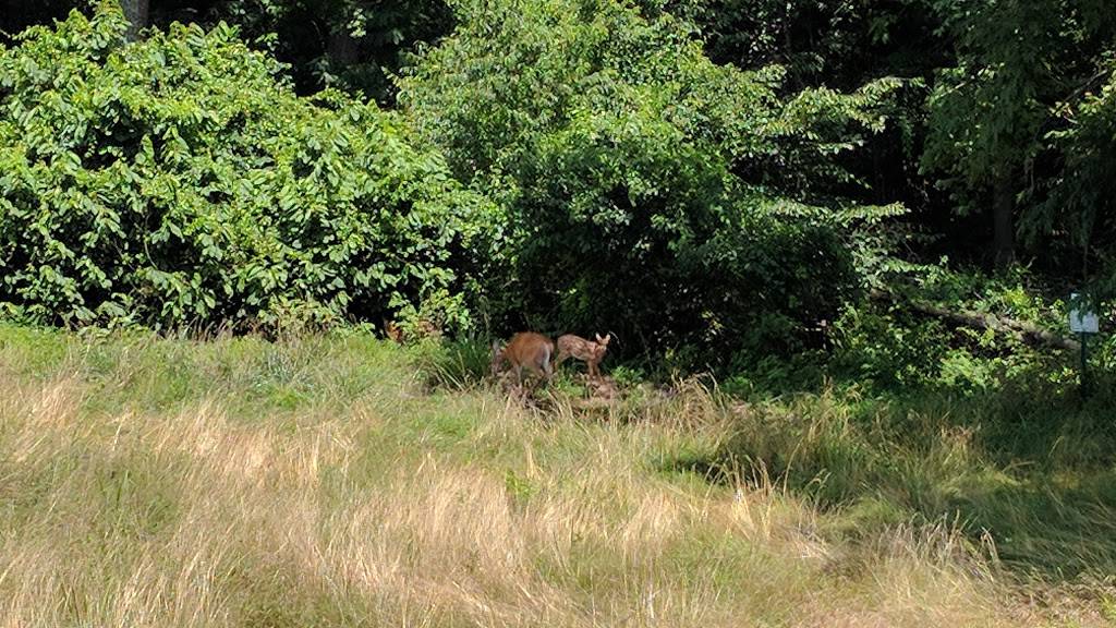 Bulle Rock Golf Course | restaurant | 2003, 320 Blenheim Ln, Havre De Grace, MD 21078, USA | 4109398887 OR +1 410-939-8887