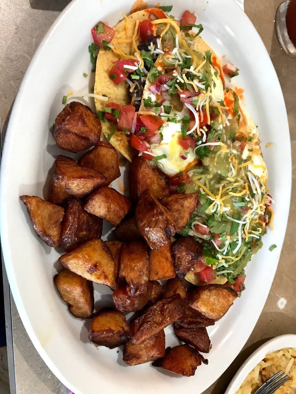 Kristofs Kafe | cafe | 8912 W State Rd 84, Davie, FL 33324, USA | 9544758977 OR +1 954-475-8977