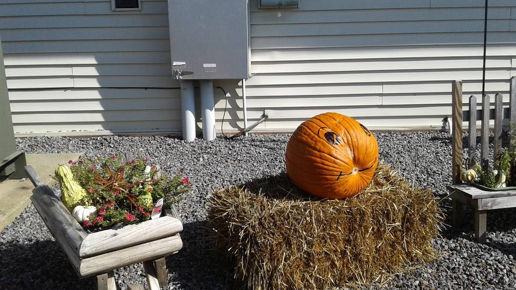 Culvers | restaurant | 1122 N Johns St, Dodgeville, WI 53533, USA | 6089359094 OR +1 608-935-9094