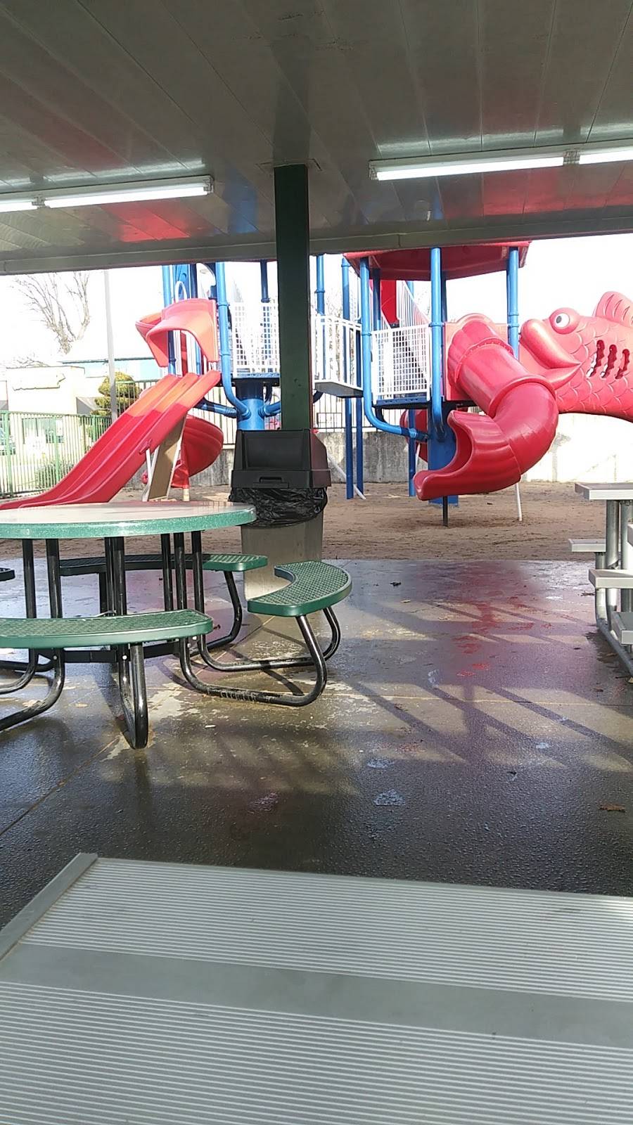 Sonic Drive-In | restaurant | 1106 W Central Ave, Carthage, MO 64836, USA | 4173589686 OR +1 417-358-9686