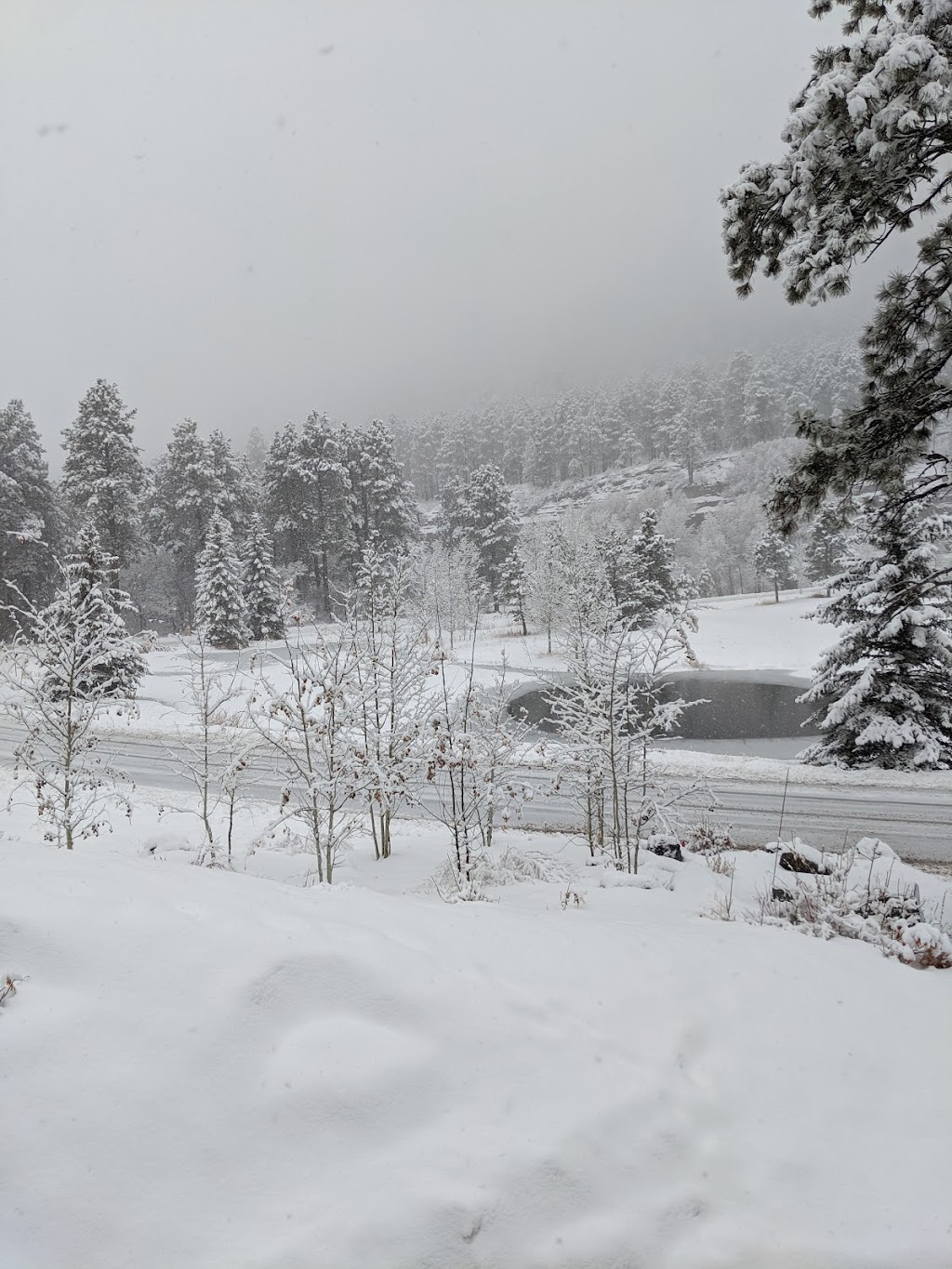 Mineshaft Bar & Grill | restaurant | 212 Tamarron Dr, Durango, CO 81301, USA | 9703827860 OR +1 970-382-7860