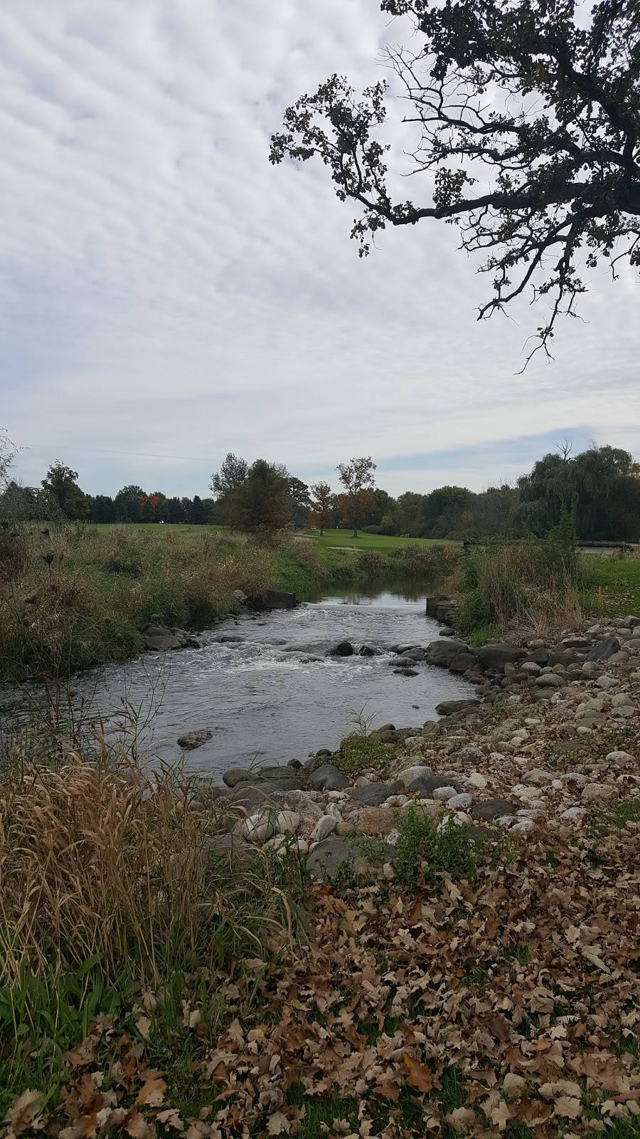 Fox Bend Golf Course | restaurant | 3516 US-34, Oswego, IL 60543, USA | 6305543939 OR +1 630-554-3939