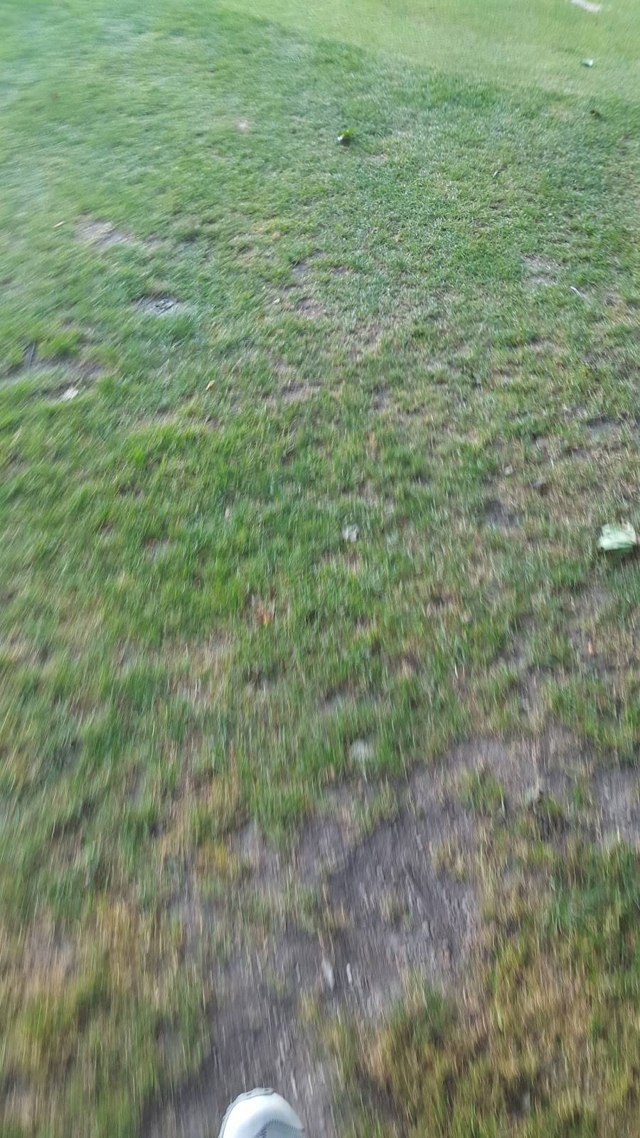 Johnson Park Golf Course | restaurant | 6200 Northwestern Ave, Racine, WI 53406, USA | 2626372840 OR +1 262-637-2840