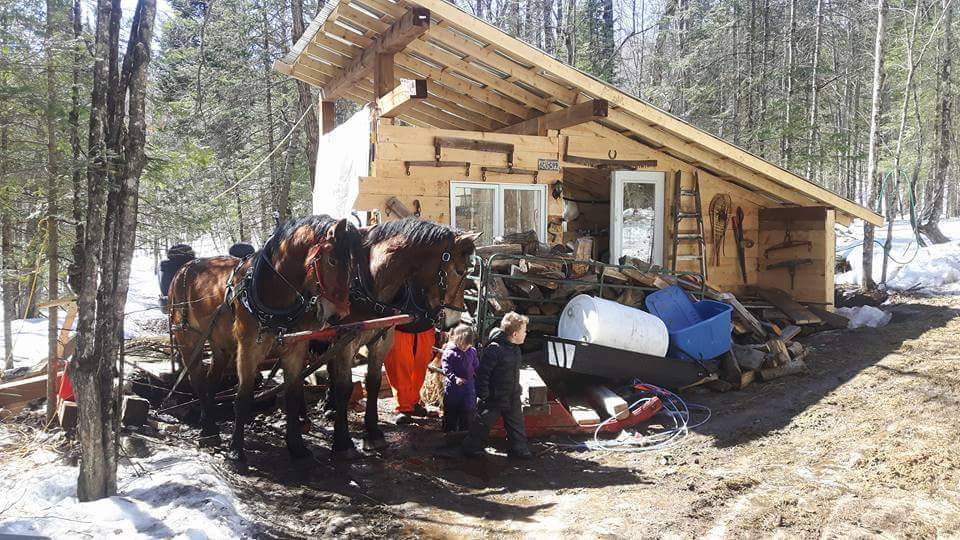 710 Excursions | restaurant | 710 Rte 366, Ladysmith, QC J0X 2A0, Canada | 8196472724 OR +1 819-647-2724