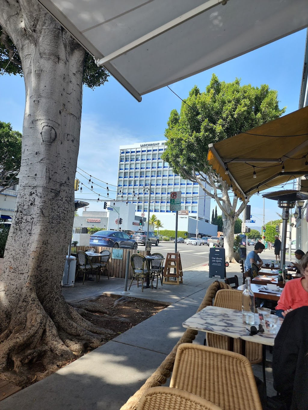 Great White | restaurant | 244 N Larchmont Blvd, Los Angeles, CA 90004, USA | 3237455059 OR +1 323-745-5059