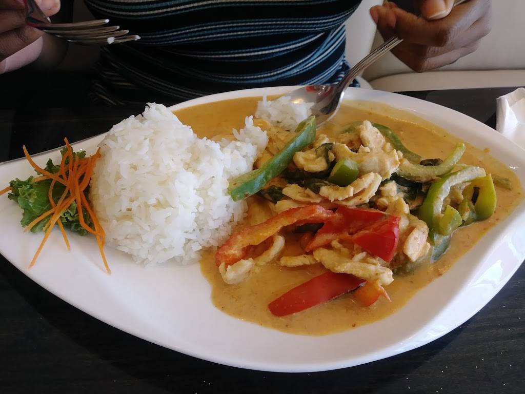 Thai Spice | restaurant | 12918 Cortez Blvd, Spring Hill, FL 34613, USA | 3525151478 OR +1 352-515-1478