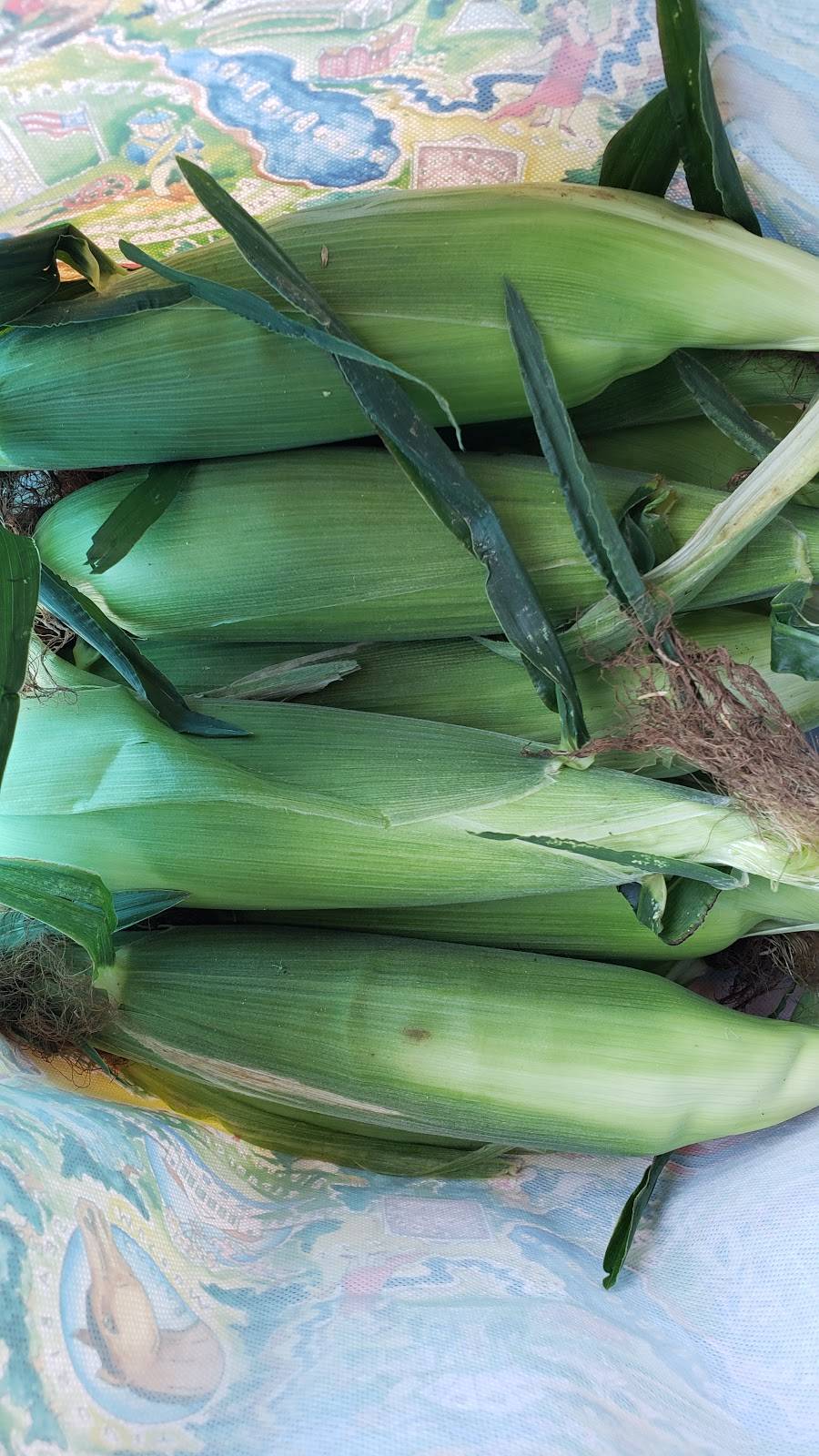 Van Allen Farms | meal takeaway | 806 Rte 9W, Glenmont, NY 12077, USA | 5187679101 OR +1 518-767-9101