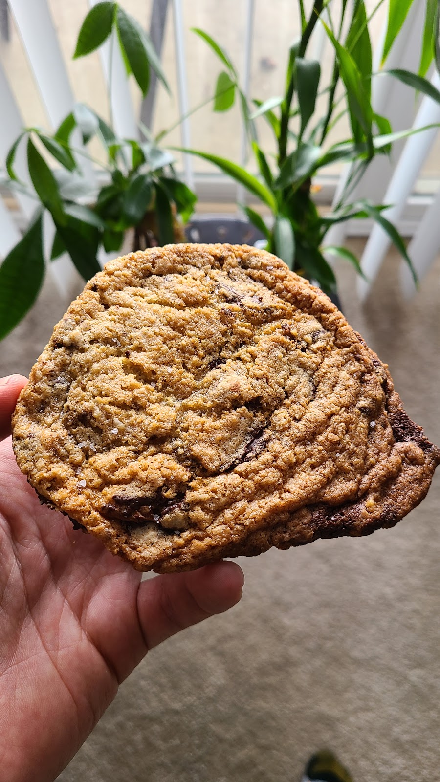 Promenade Artisan Foods | restaurant | 7399-7301 2nd Ave, Detroit, MI 48202, USA | 7343077061 OR +1 734-307-7061