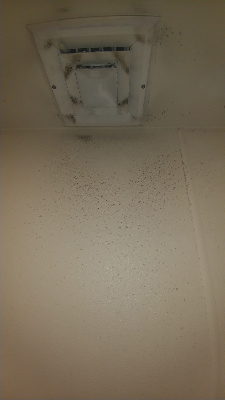 Kangaroo Express | meal takeaway | 7950 Pensacola Blvd, Pensacola, FL 32534, USA | 8504719854 OR +1 850-471-9854