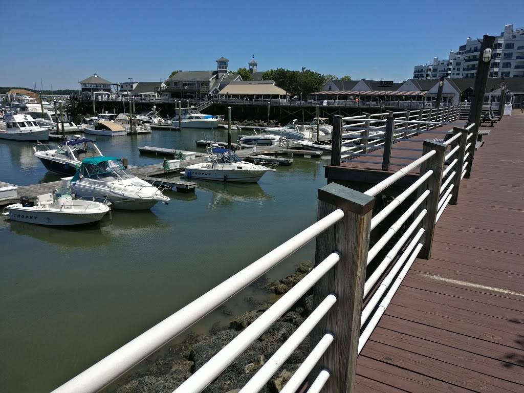 Port 305 | restaurant | 305 Victory Rd, Quincy, MA 02171, USA | 6173024447 OR +1 617-302-4447