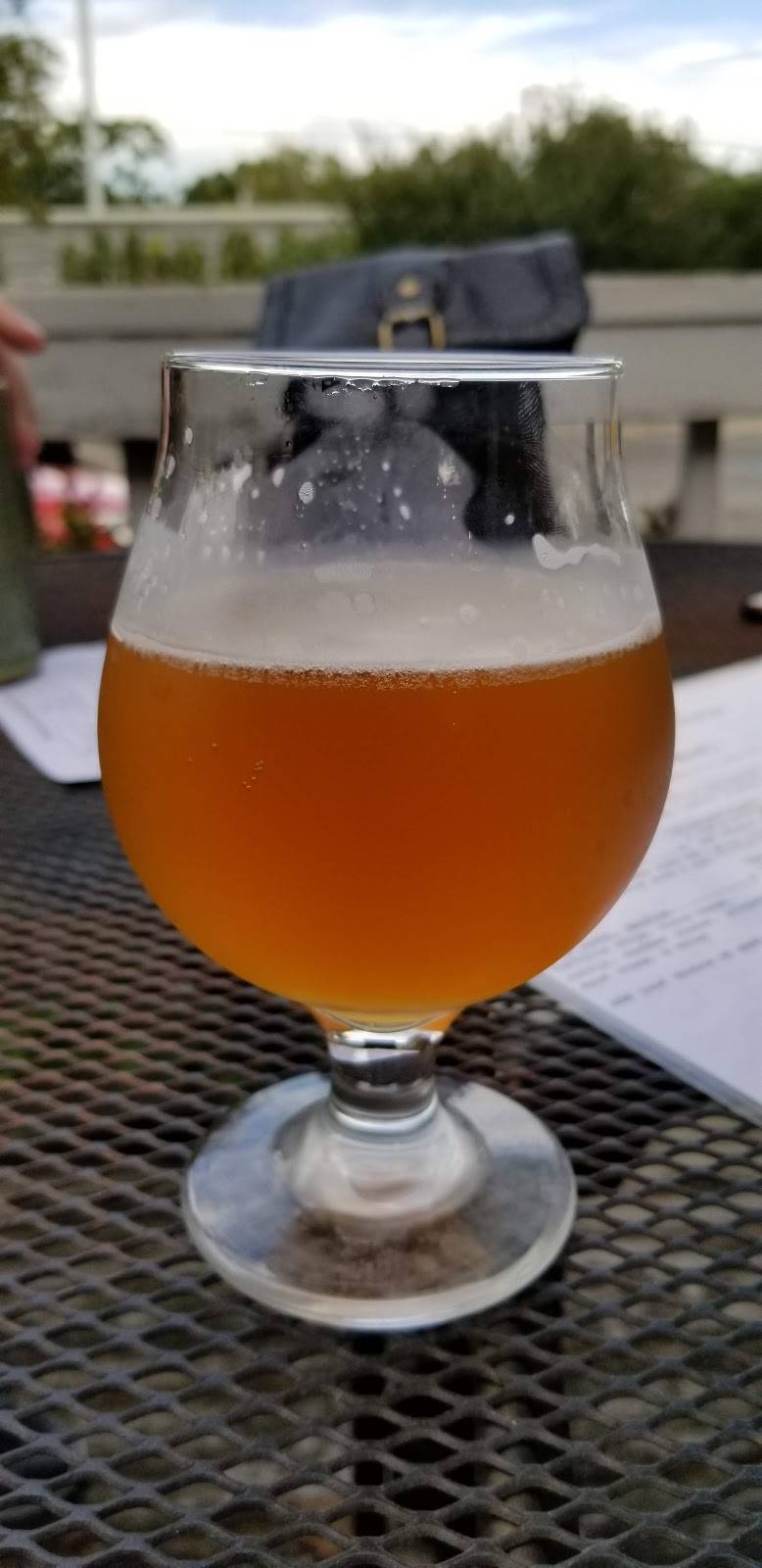 Books & Brews - Broad Ripple | restaurant | 6420 Cornell Ave, Indianapolis, IN 46220, USA | 3174931132 OR +1 317-493-1132