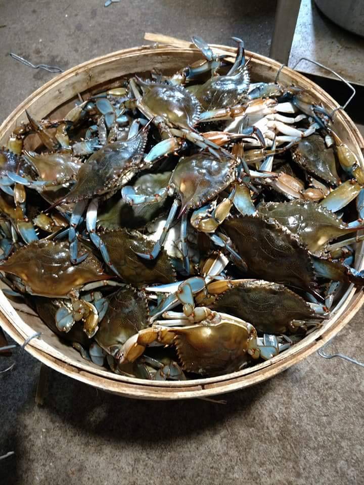 Pizza Hut | restaurant | 1918 Belair Rd, Fallston, MD 21047, USA | 4108777631 OR +1 410-877-7631