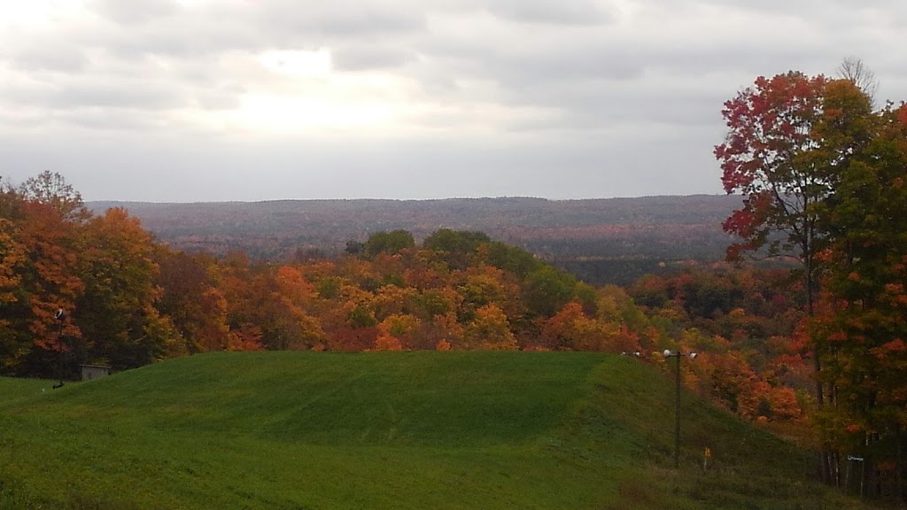 Chippers Pub | restaurant | 2618 Hawks Eye Dr, Bellaire, MI 49615, USA | 2315333030 OR +1 231-533-3030