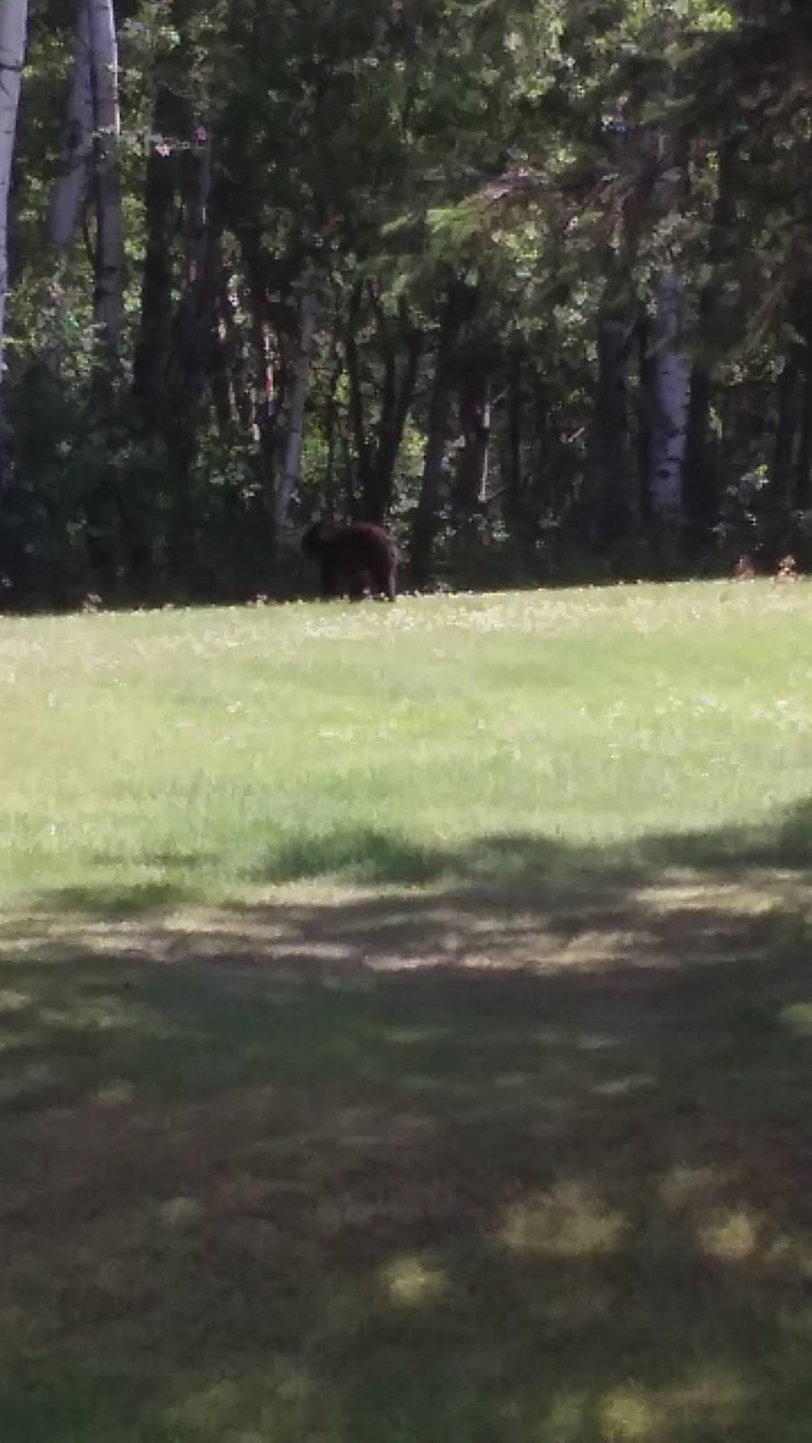 The Platter | restaurant | 315 Turner Rd, Ashland, WI 54806, USA | 7156822626 OR +1 715-682-2626