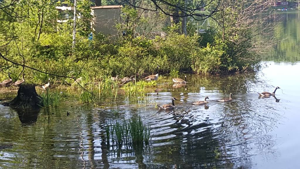 Courtades Trading Center | restaurant | 233 High Lake Rd, Traverse City, MI 49696, USA | 2319478945 OR +1 231-947-8945