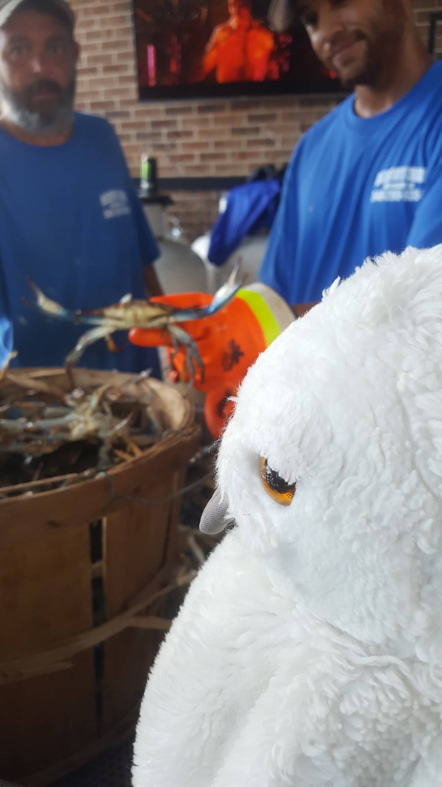 Decaturs Crabs | restaurant | 2000 Plank Rd, Fredericksburg, VA 22401, USA | 5402959354 OR +1 540-295-9354
