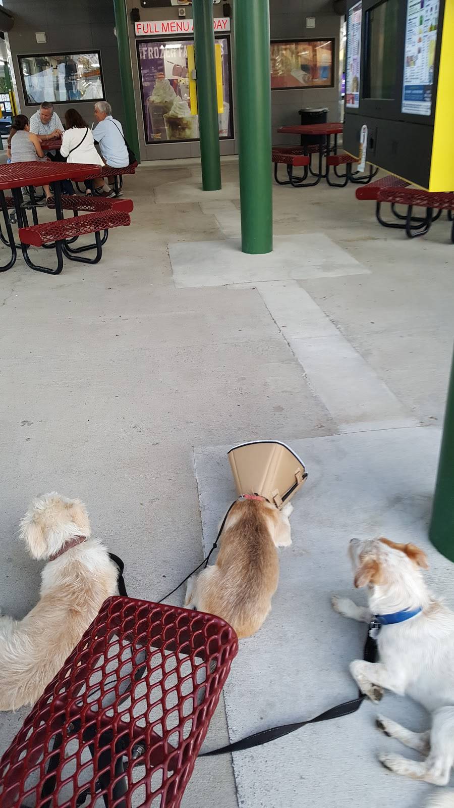 Sonic Drive-In | restaurant | 1701 Murfreesboro Pike, Nashville, TN 37217, USA | 6153609001 OR +1 615-360-9001