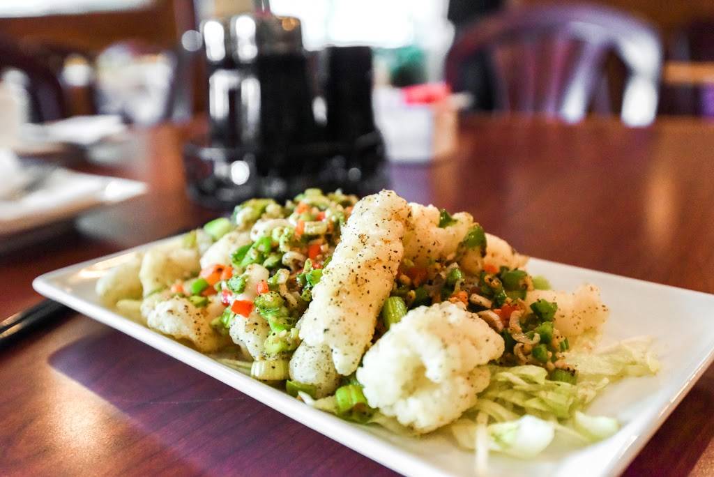 Kung Fu Dim Sum | restaurant | 2305 Darby Rd, Havertown, PA 19083, USA | 6107893700 OR +1 610-789-3700